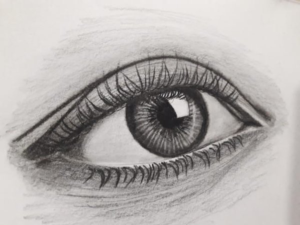 Dessin : Guide ultime pour apprendre à dessiner comme un pro